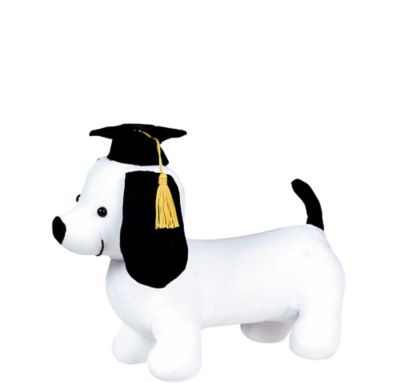 graduation dog