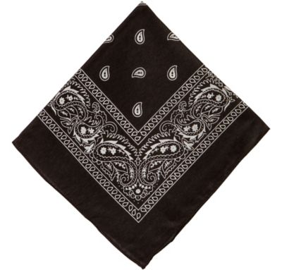 Black Paisley Bandana, x Party City