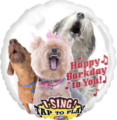 corgi balloon party city