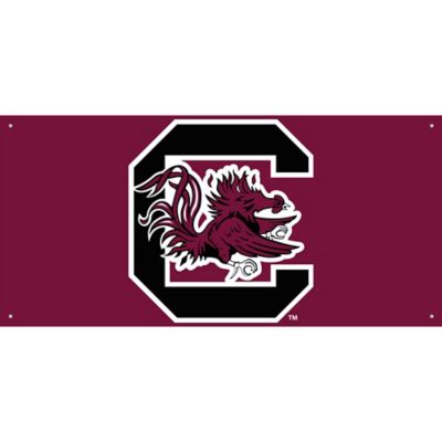 South Carolina Gamecocks Banner 4ft x 2ft | Party City