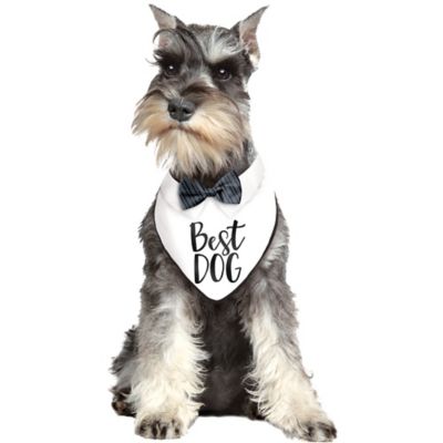 Best dog hot sale bandanas wedding