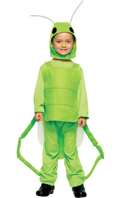 Boys Little Grasshopper Costume | Party City