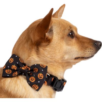 halloween dog bow tie